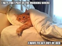 Exactly Look like me On Every Monday Morning | Wat about You Guys ...