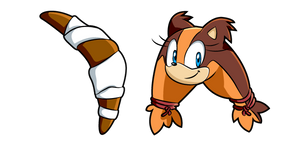 Sonic Sticks the Badger and Boomerang