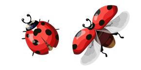 Ladybug