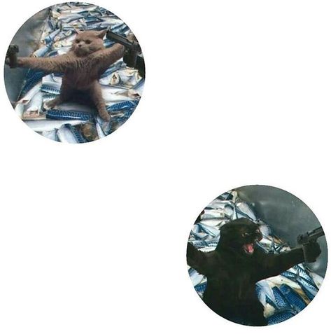 b4c6cb2bbff31333a69cf062626a9d11