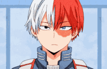 Todoroki GIFs | Tenor