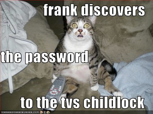 funny-pictures-cat-discovers-a-password | Paul Anderson | Flickr