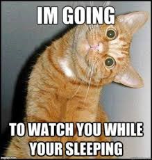watch you in your sleep - Imgflip