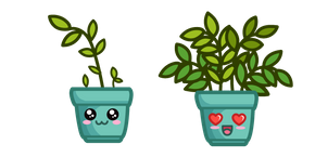Cute Pot with Plant