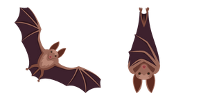 Bat