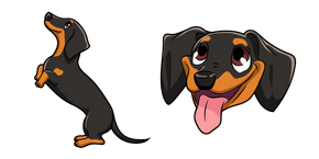 Dachshund Dog
