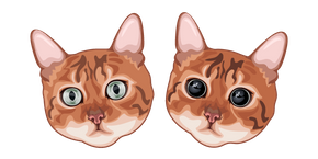 Cats Pounce Mode Engaged
