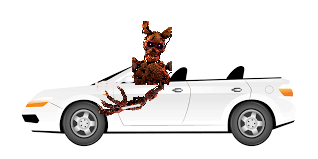 2022_02_16_0hn_Kleki