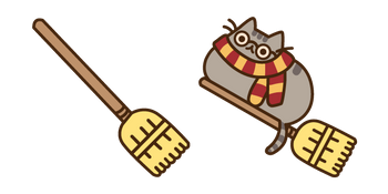 Pusheen Potter and Broomstick