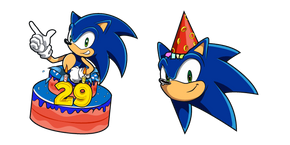 Sonic the Hedgehog 29th Birthday