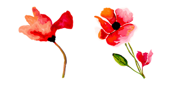 Hand Painted Poppy Flower