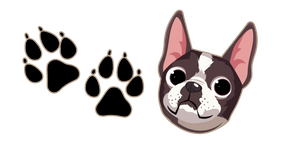 Boston Terrier Dog