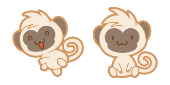 Cute Monkey