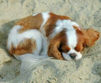 Screenshot 2020-12-18 at 2.16.08 PM