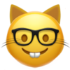 :nerd_cat: