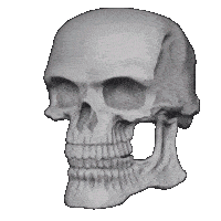 skull-skull-emoji (1)