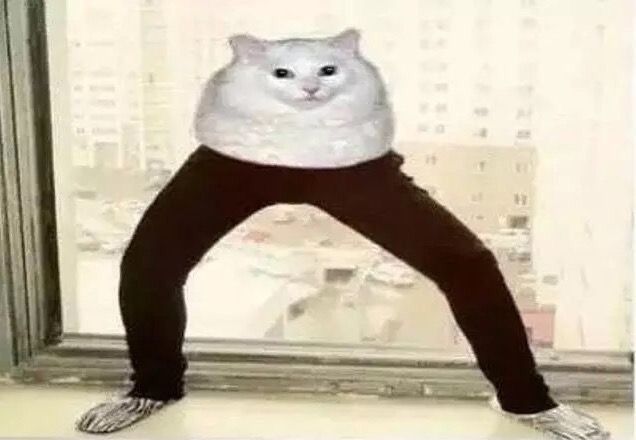 2db26fc4d120f6e225020591f4c94fb4