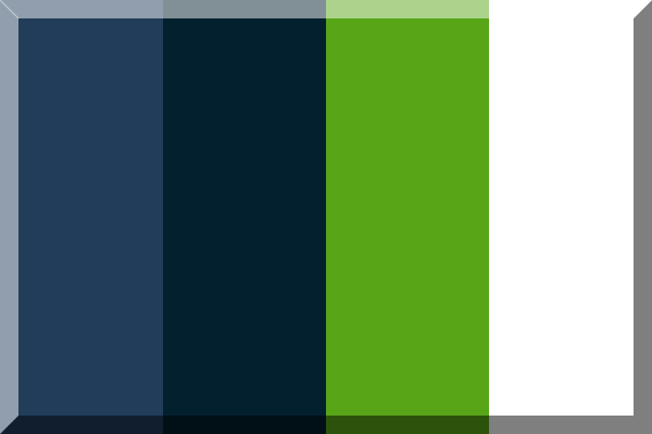 600px-Light_blue_Dark_navy_blue_Neon_green_White.svg