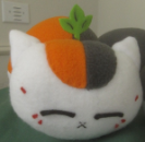 Screenshot 2022-06-06 11.16.18 AM