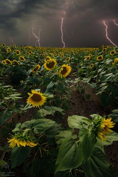 b3e790c3589f2a7e9a087fe435eee766