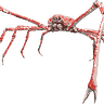422364_2