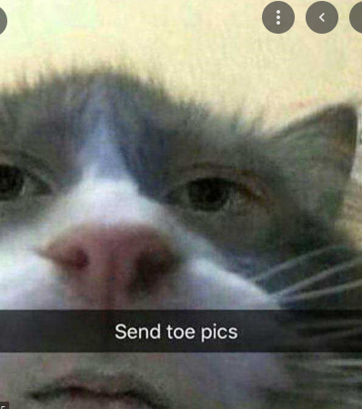 Screenshot 2022-10-04 12.43.29 PM