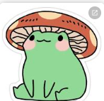 Screenshot 2022-11-15 8.07.58 AM