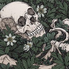 d38ae6ede4cbffe0034b07f19f4762e5