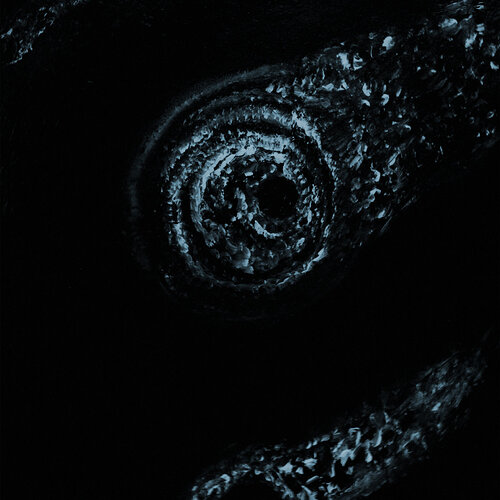 bf562eb2b11b0019d9dcc8e194d9377047a55d49_2_500x500