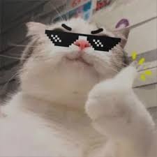Cool Cat With Glasses Profile Picture ...
