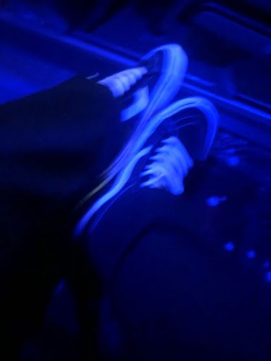 443c79f2277d8ed34db9f876641307e2